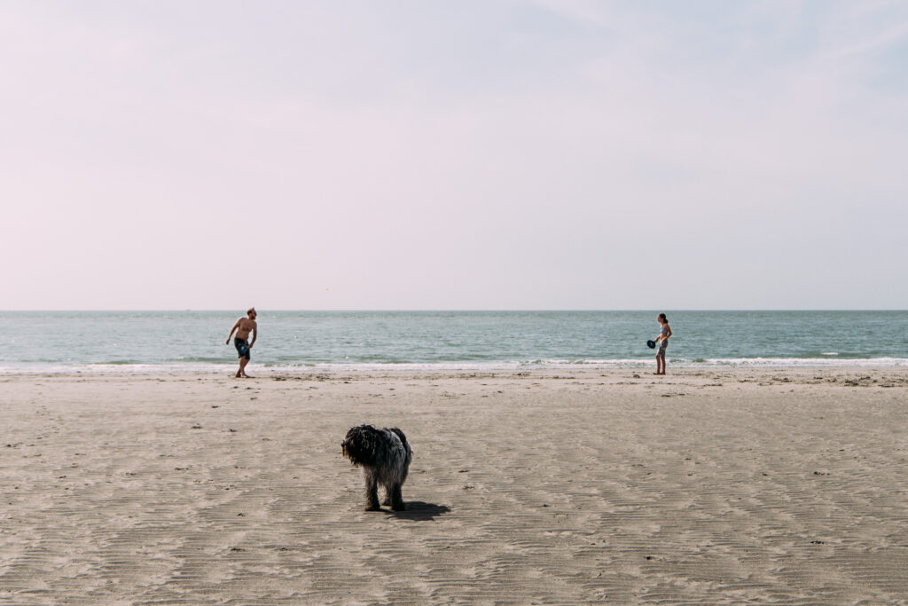 Over JNSSN vader en dochter spelen tennis op het strand met hond